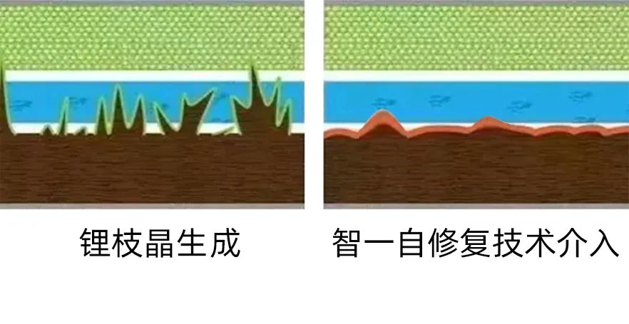 微信圖片_20221229133740.jpg